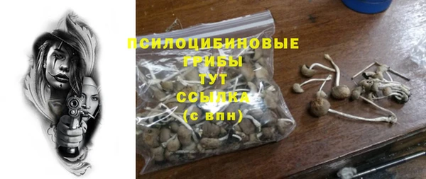 apvp Пестово