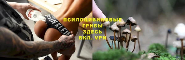 мяу мяу мука Пересвет