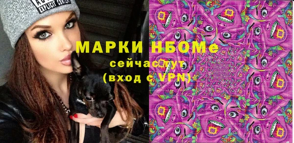 apvp Пестово