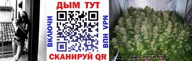 Бошки Шишки марихуана  Михайловка 